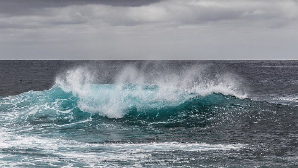 09022022 oceani 09022022 oceani