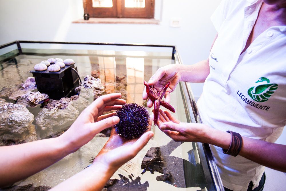 museo del mare riccio