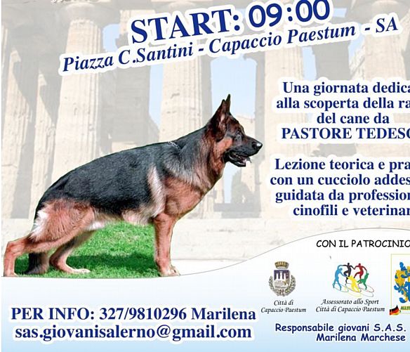 09032018 stage cane pastore tedesco