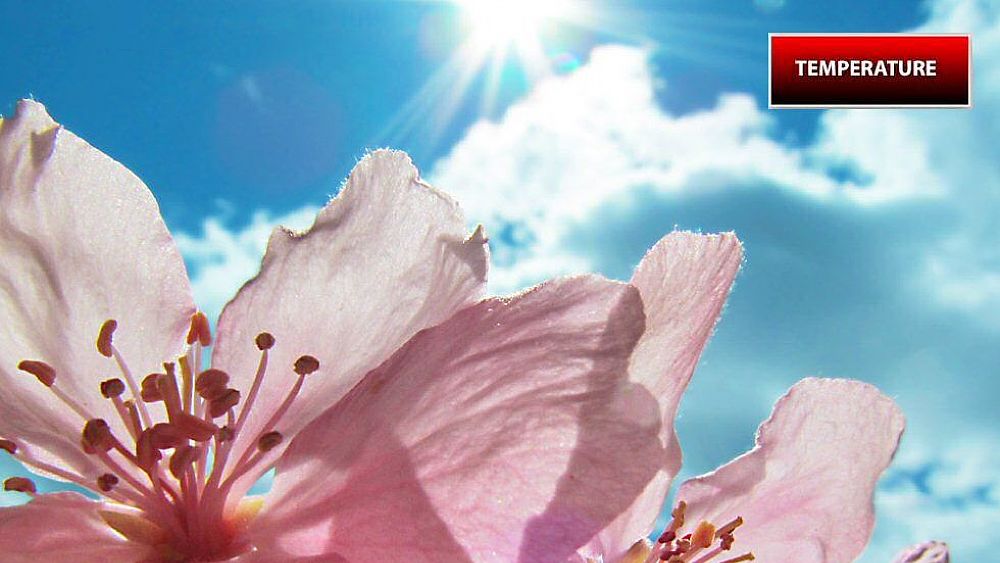 09032020 edito 09032020