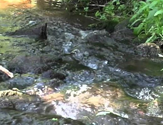 Giuseppe-Lembo foto - 09042014 caposele citta di sorgente