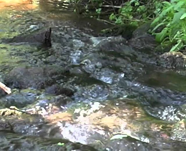 09042014 caposele citta di sorgente 09042014 caposele citta di sorgente
