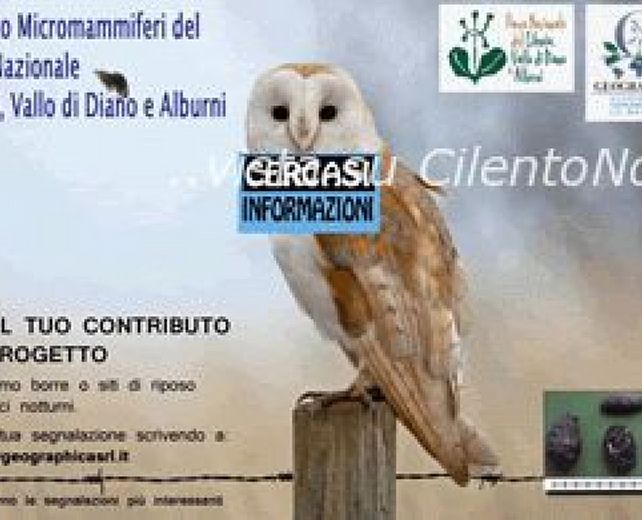 09052014 piccoli animali del parco