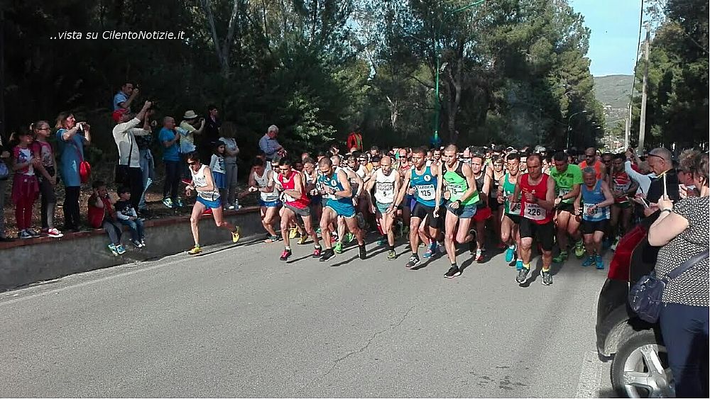 09052016 corsa sirena leucosys