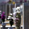 Agropoli Notizie foto - 09052026 cimitero