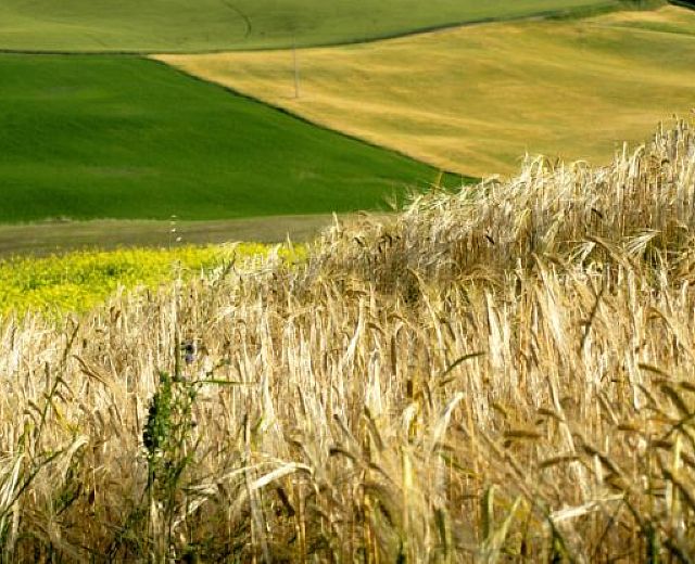 09072013 6 0 Agricoltura 09072013 6 0 Agricoltura