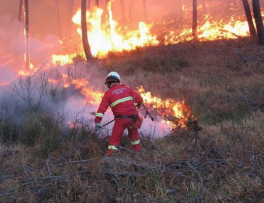 09072014 antincendio boschivo