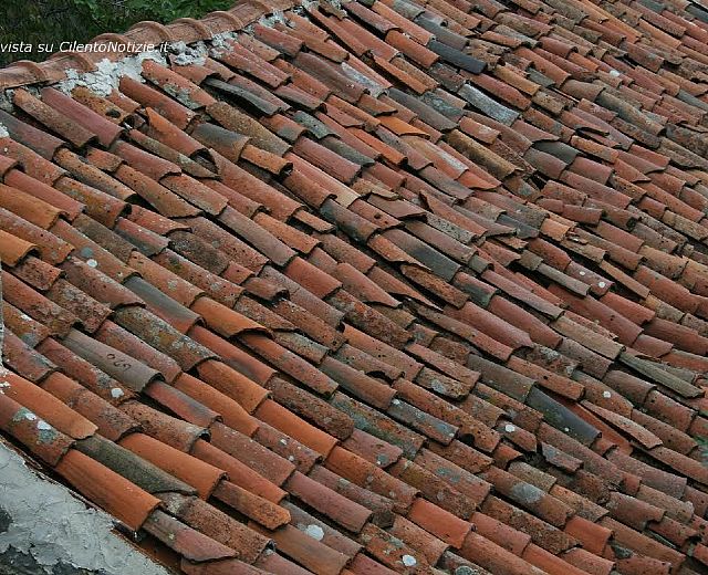 09082014 irmici foto