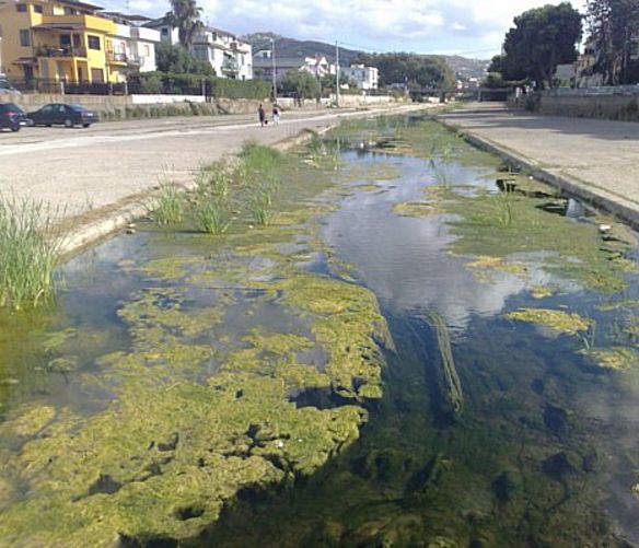 09082017 fiume testene