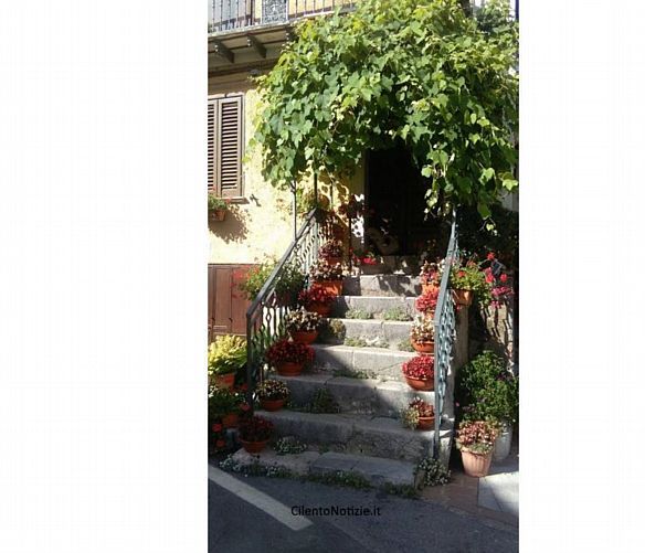 Tonino-Luppino foto - 09082017 scalinata amore