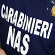 Cilento - Le ultime  Notizie foto - 09082018 nas carabinieri