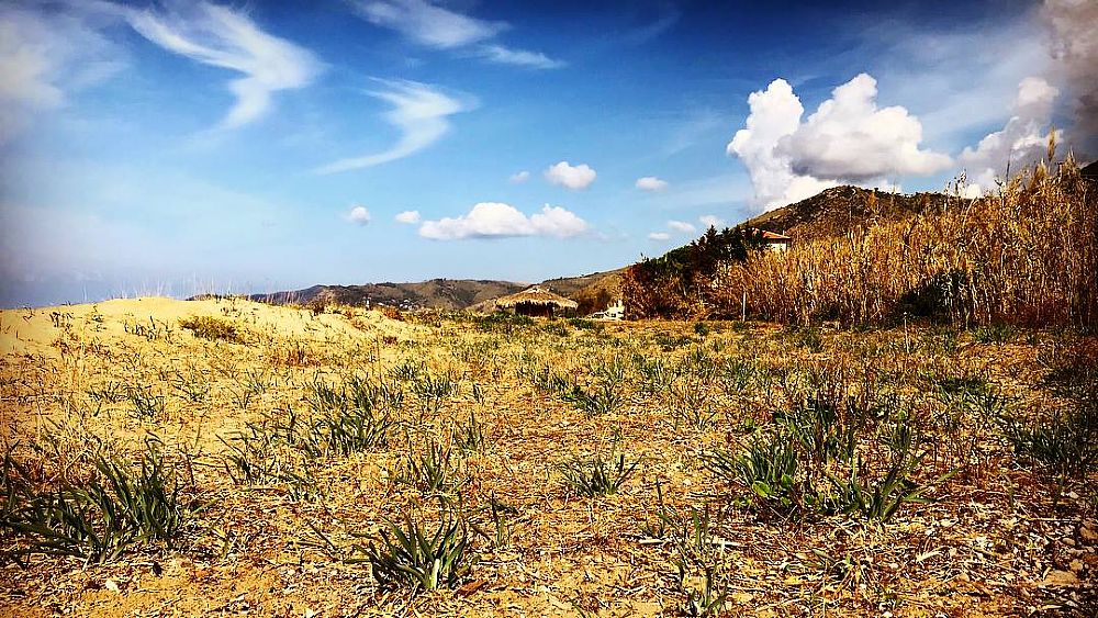 09102017 giglio di mare acciaroli 09102017 giglio di mare acciaroli