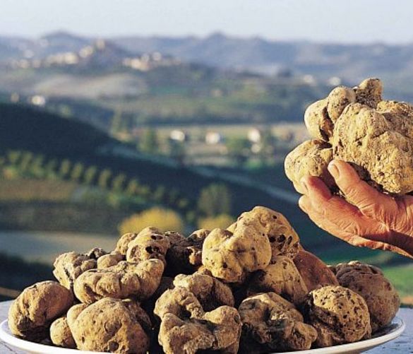 09102017 tartufo