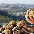 Spettacoli-eventi foto - 09102017 tartufo