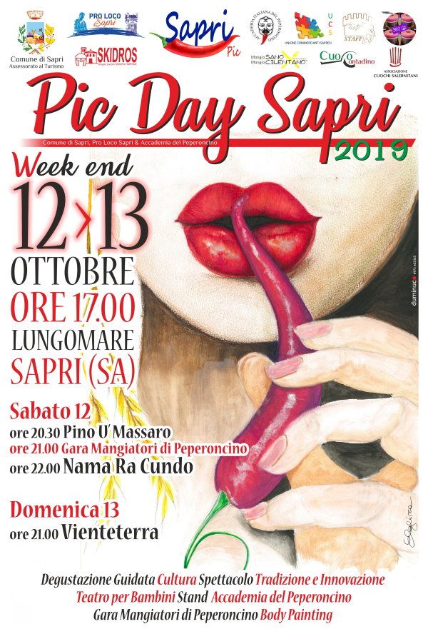 sapri pic day locandina