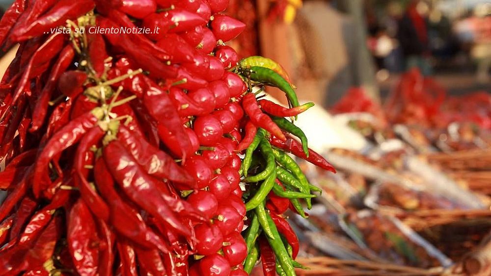 09102019 pic day sapri 09102019 pic day sapri