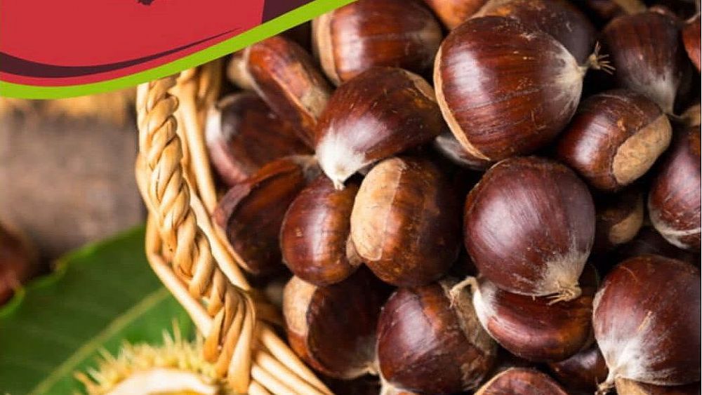 09102022 festa della castagna 09102022 festa della castagna