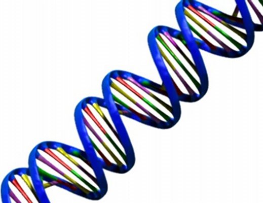 Marisa-Russo foto - 09112012 dna