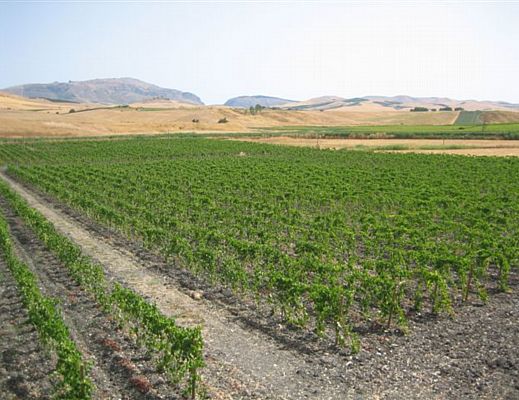 09112013 terreno agricolo