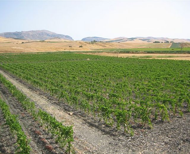 09112013 terreno agricolo