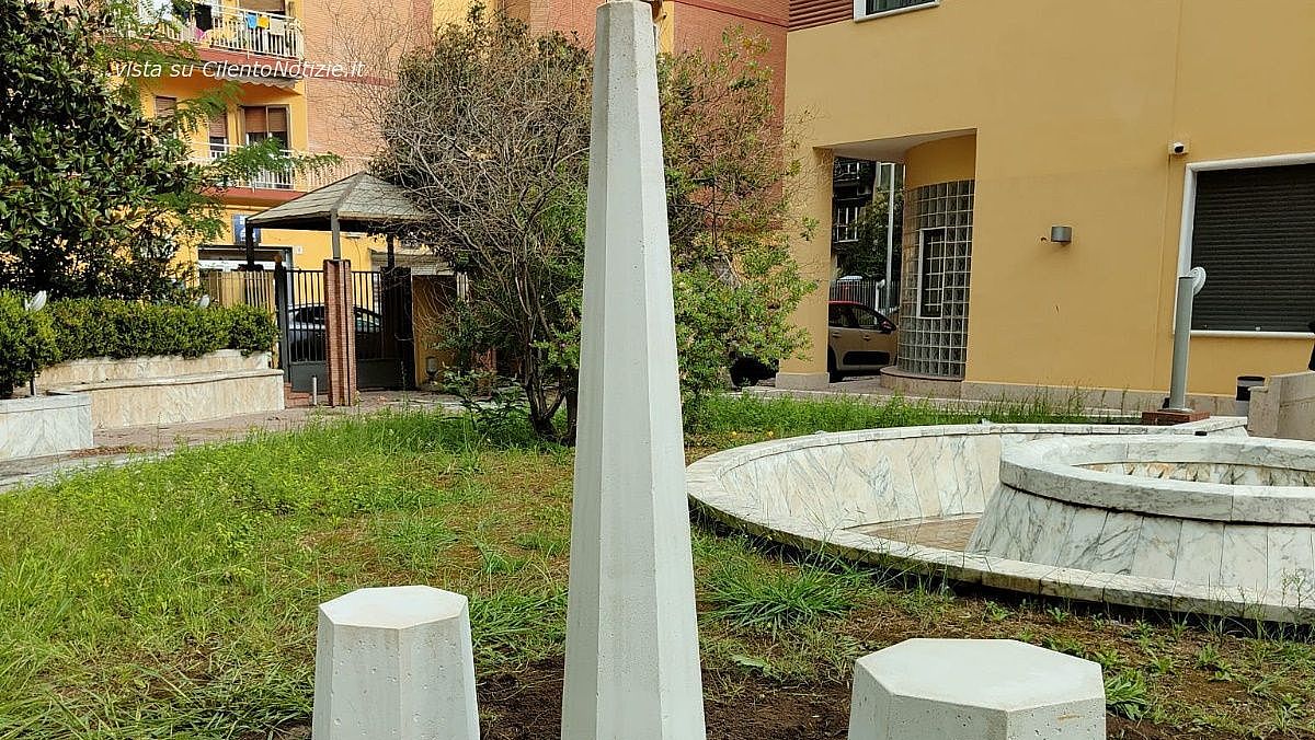 09112024 albero eretico 09112024 albero eretico