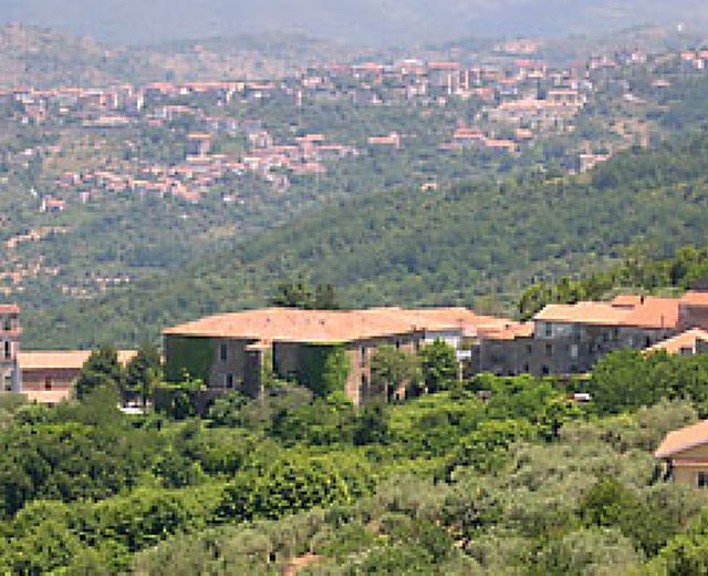 10012014 laureana panoramica