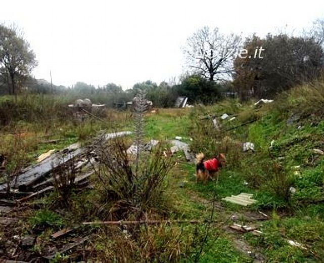 10022014 rifiuti in terreno privato