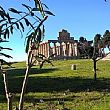 Capaccio Paestum Notizie foto - 10022016 paestum bit milano