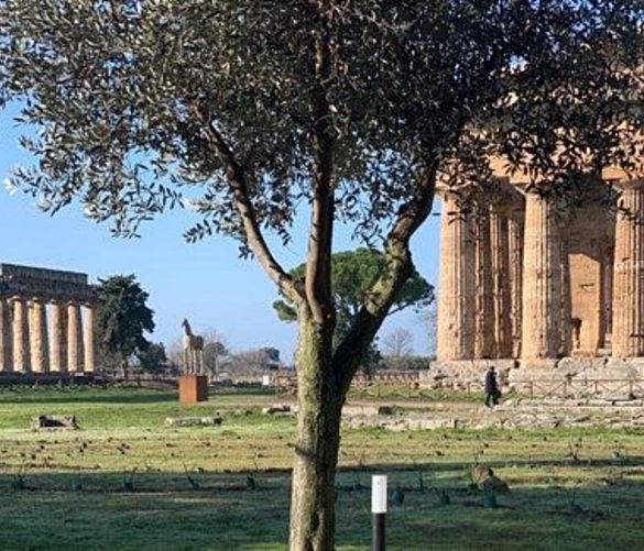10022020 Area archeologica di Paestum
