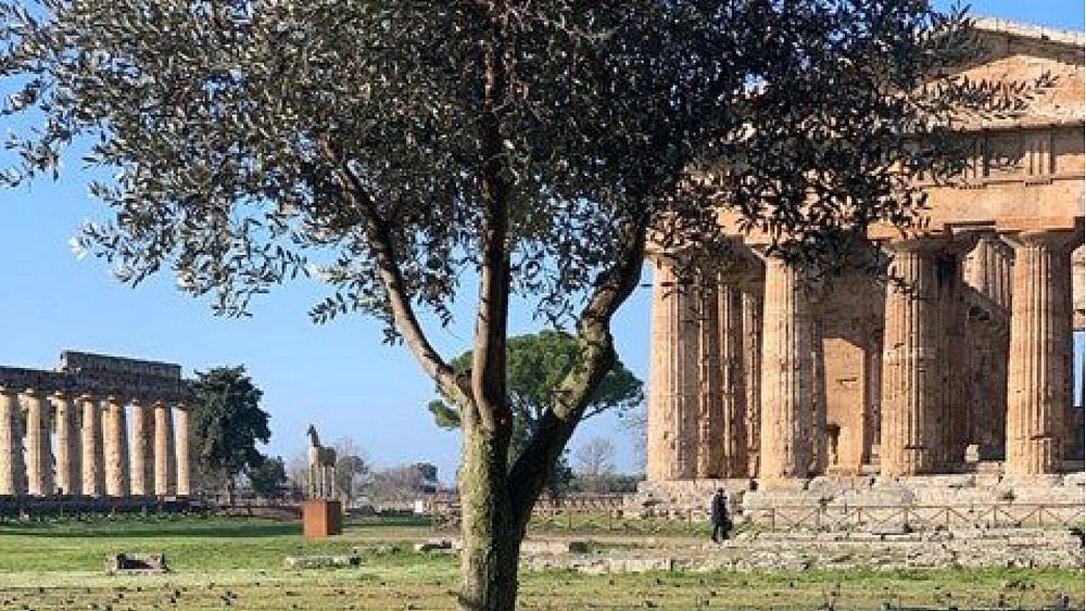 10022020 Area archeologica di Paestum