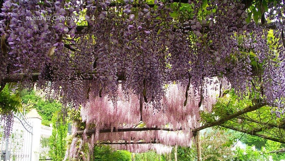 10022021 costiera amalfitana