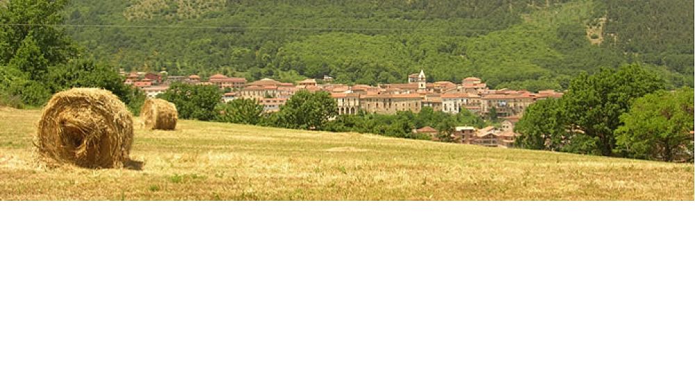 10032016 Buonabitacolo