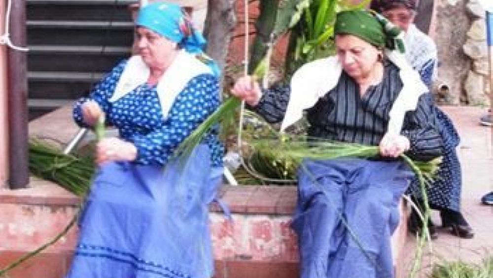 10032017 donne di camerota 10032017 donne di camerota