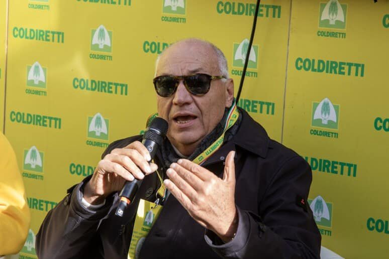 direttore di coldiretti loffreda