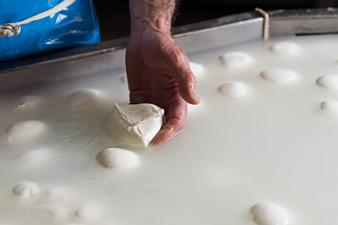 10042026 produzione mozzarella dop