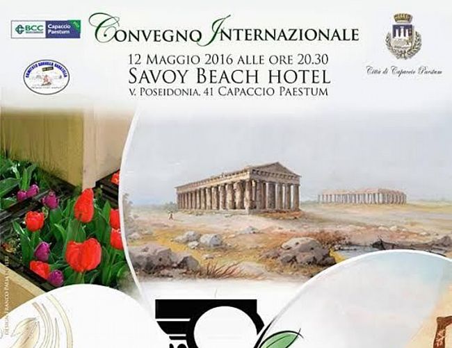 10052016 convegno paestum electricity