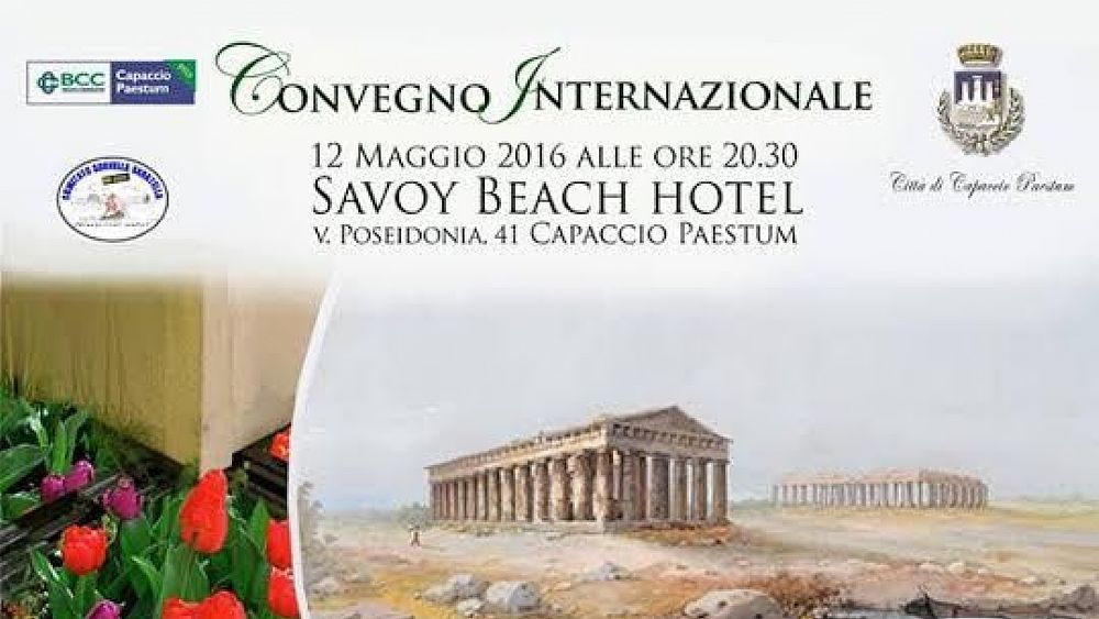 10052016 convegno paestum electricity