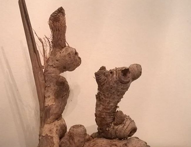 10052016 scultura saporito