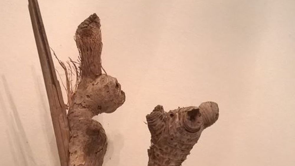 10052016 scultura saporito