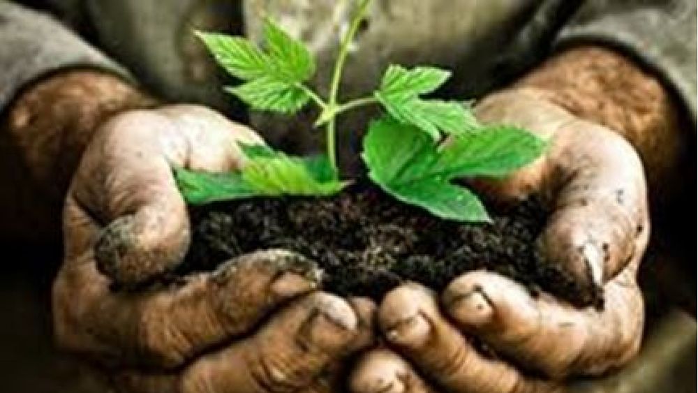 10052017 biologico 10052017 biologico