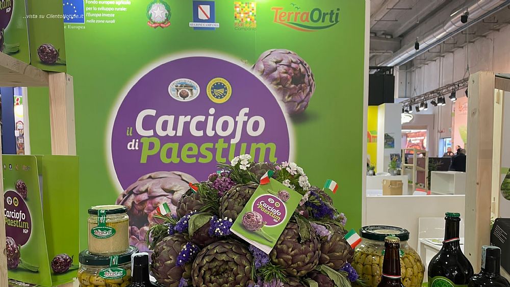 10052022 carciofi cibus