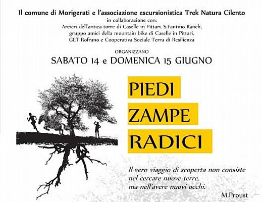10062014 piedi zampe  morigerati