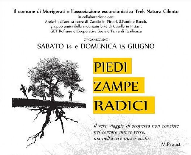 10062014 piedi zampe  morigerati