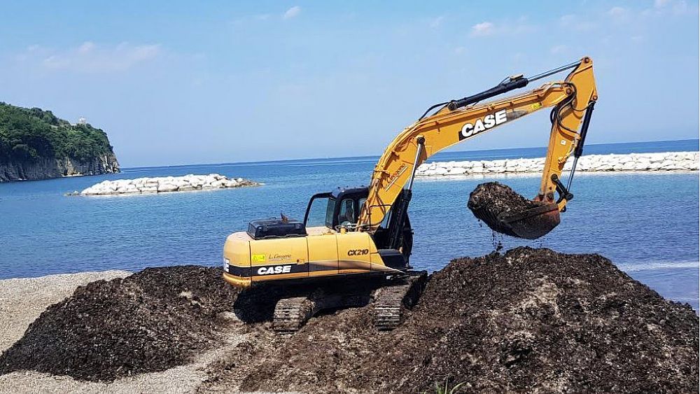 10062021 agropoli spiaggia posidonia