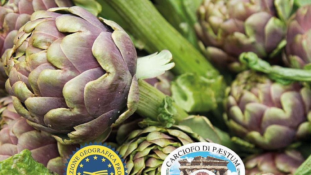 10072018 testo carciofo di paestum 10072018 testo carciofo di paestum