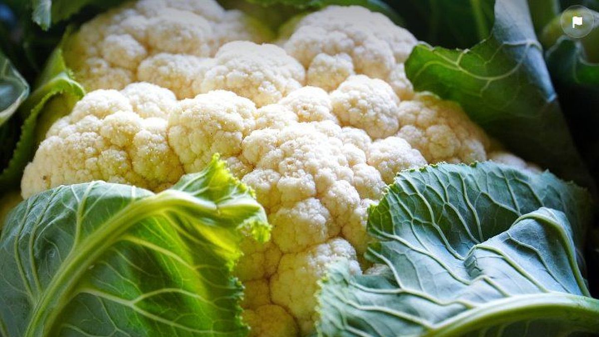 10072024 cavolfiore 10072024 cavolfiore