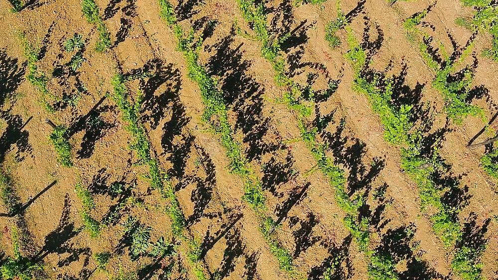 10082020 cilento destination