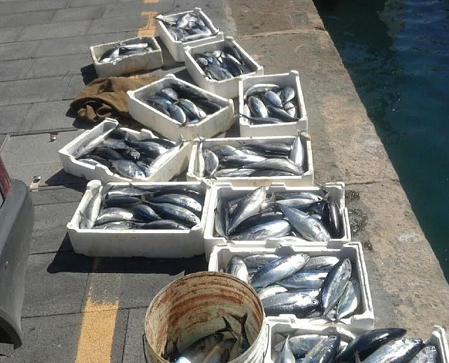 10092015 pesca illecita