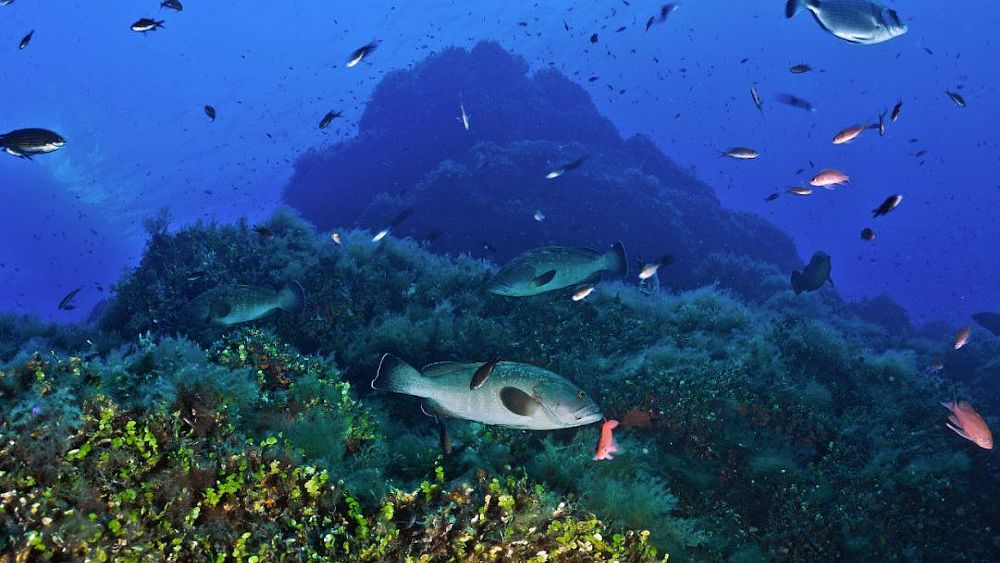 10092021 oceani 10092021 oceani