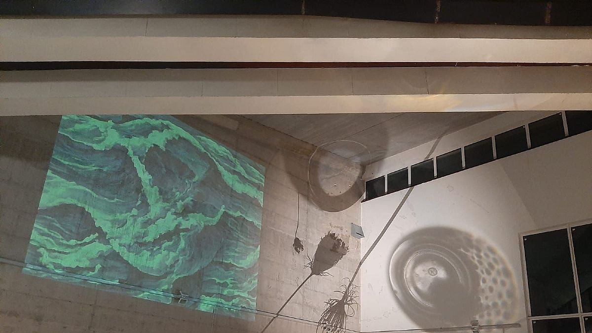 10092024 reverb festival